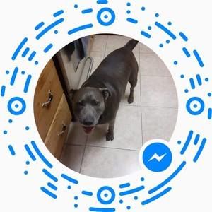 Meet your Posher, Keith